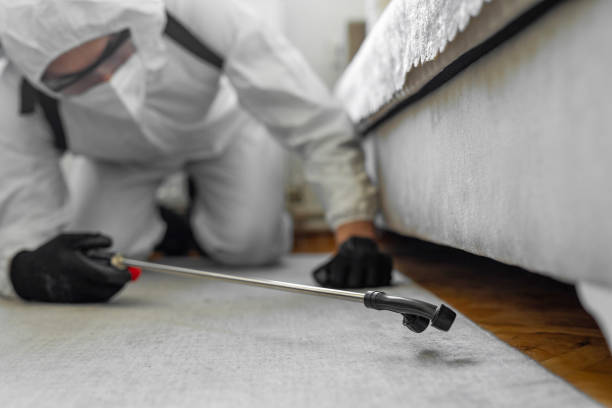 Professional Bed Bug Control technician working in Bremen, IN