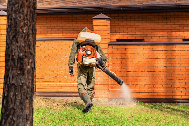 Trusted Bed Bug Control service in Bremen, IN - Nex Pest Control